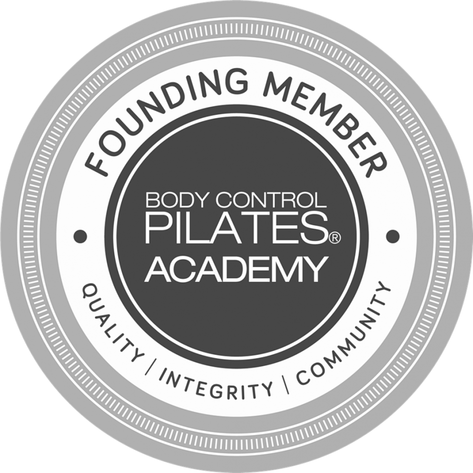 gallery/2020-03-29 BodyControl logo GREY